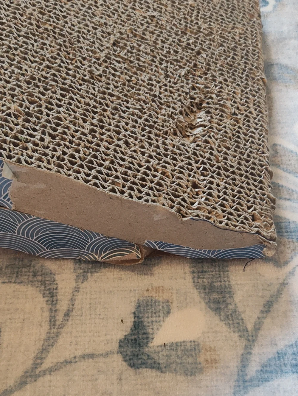 PETS: CAT SCRATCHER SET